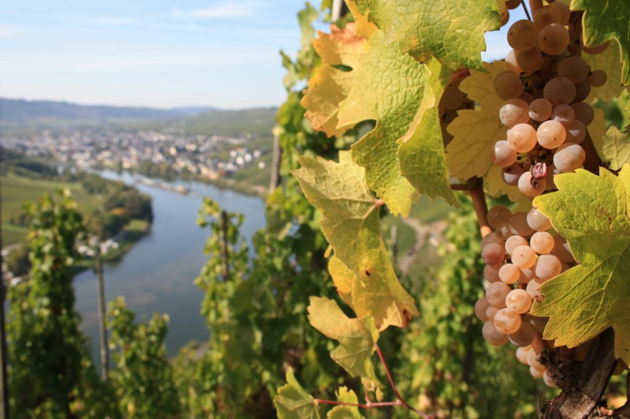 Weingut Markus Junglen Kröv Екстериор снимка