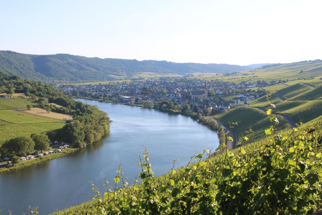 Weingut Markus Junglen Kröv Екстериор снимка